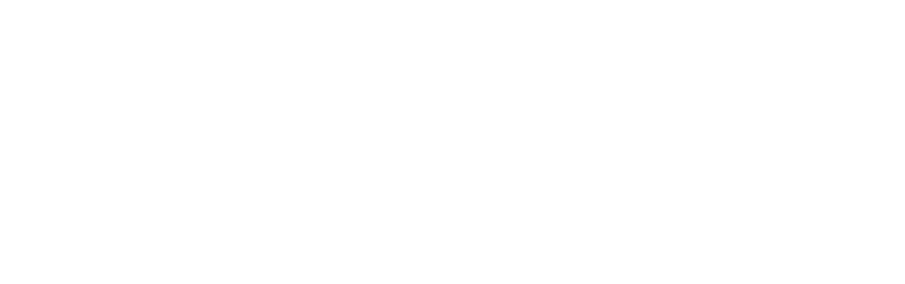 MFW GROUPE